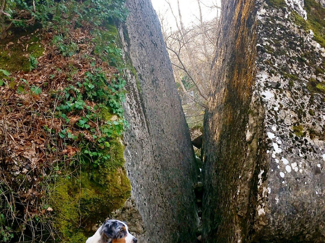 Appennino Nord主图