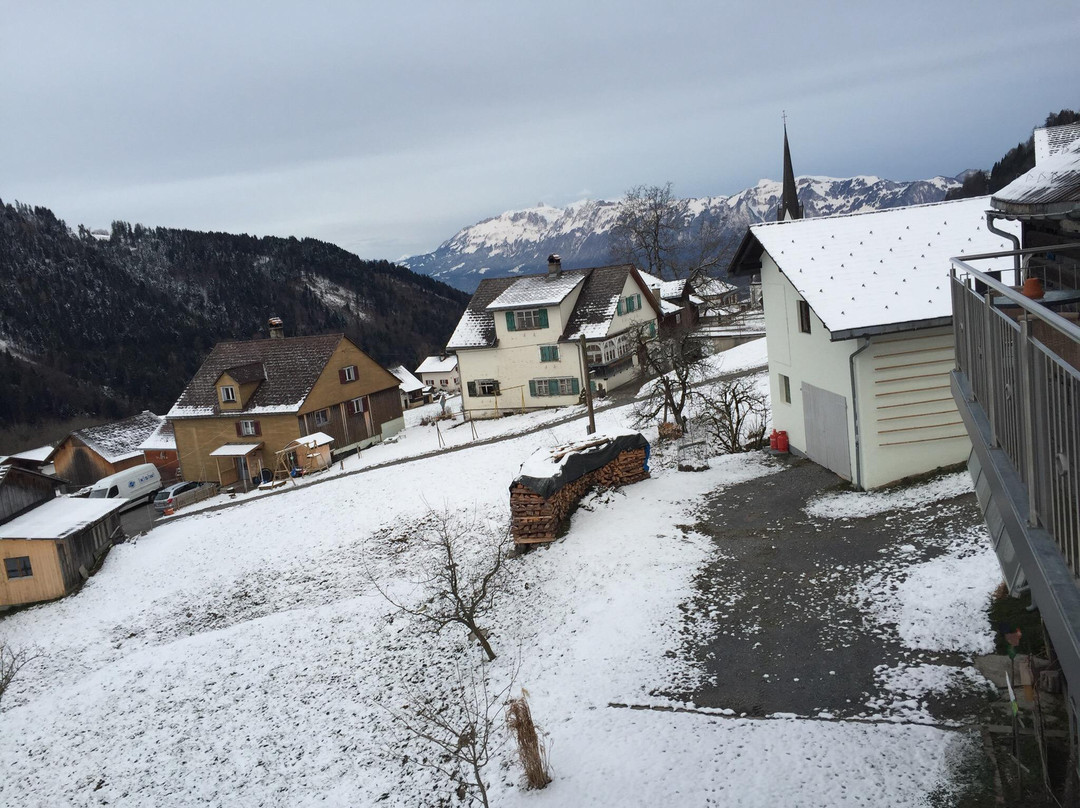 Sommerrodelbahn Laterns景点图片