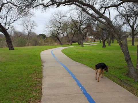 Nob Hill Greenbelt-卡罗尔顿必去景点