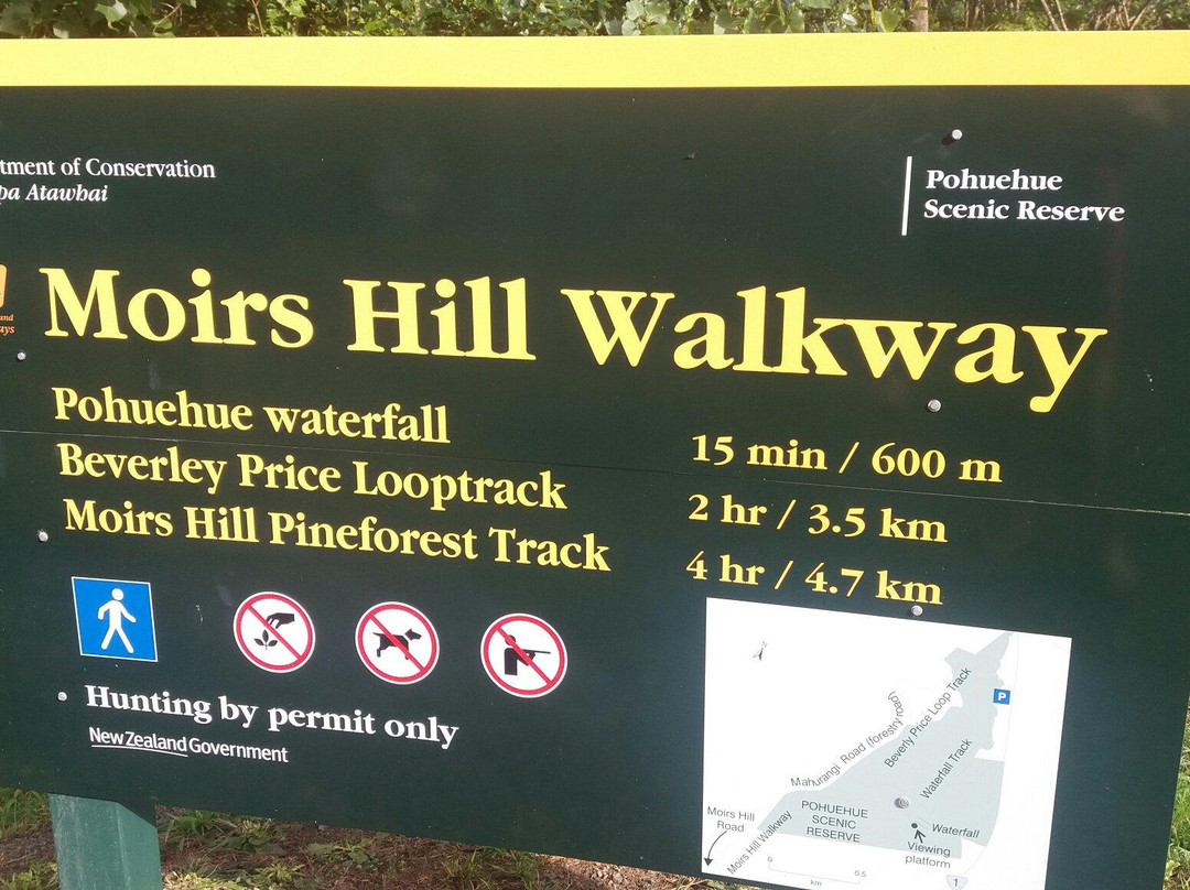 Pohuehue Waterfalls-瓦卡沃夫必去景点