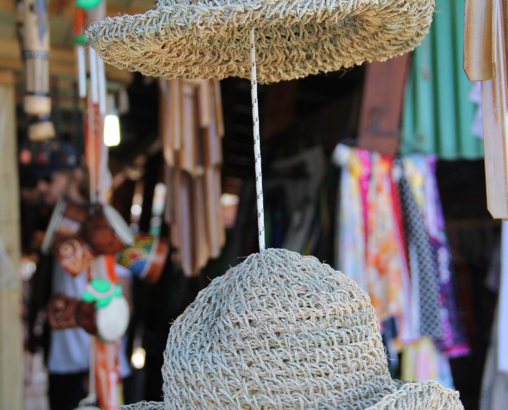 Paseo de los Artesanos-Punta del Diablo必去景点