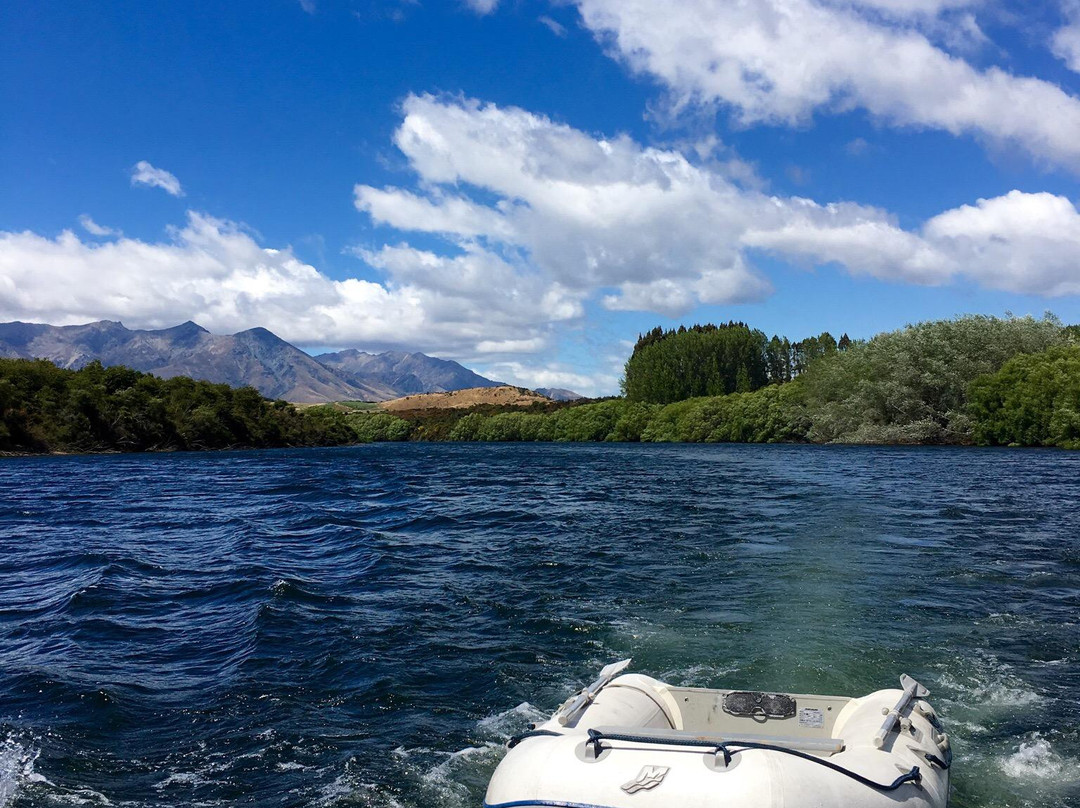 Manapouri Lake Cruises景点图片