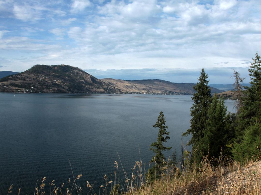 Silver Star Bed & Breakfast主图