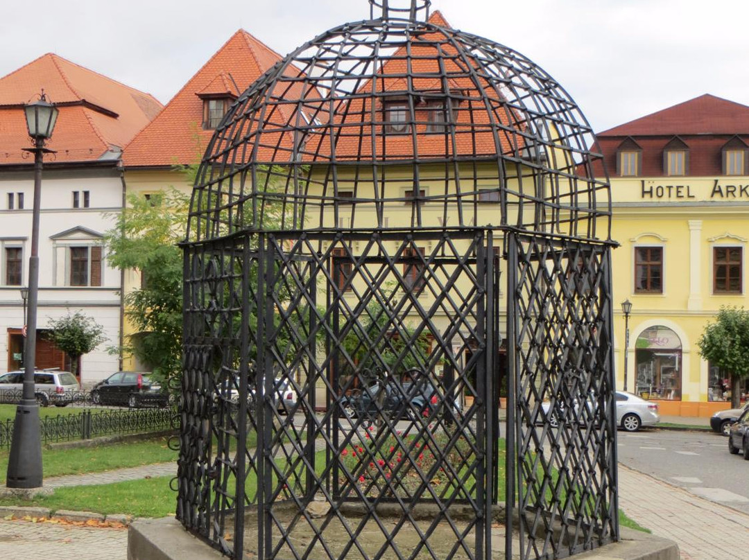 Cage of Shame-Levoca必去景点
