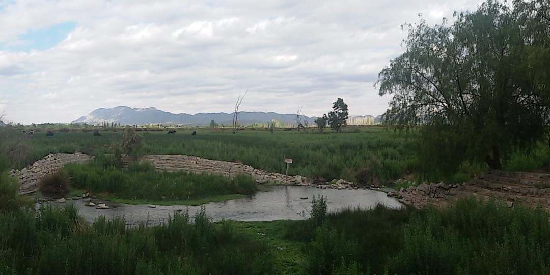 Camping Agua Negra景点图片
