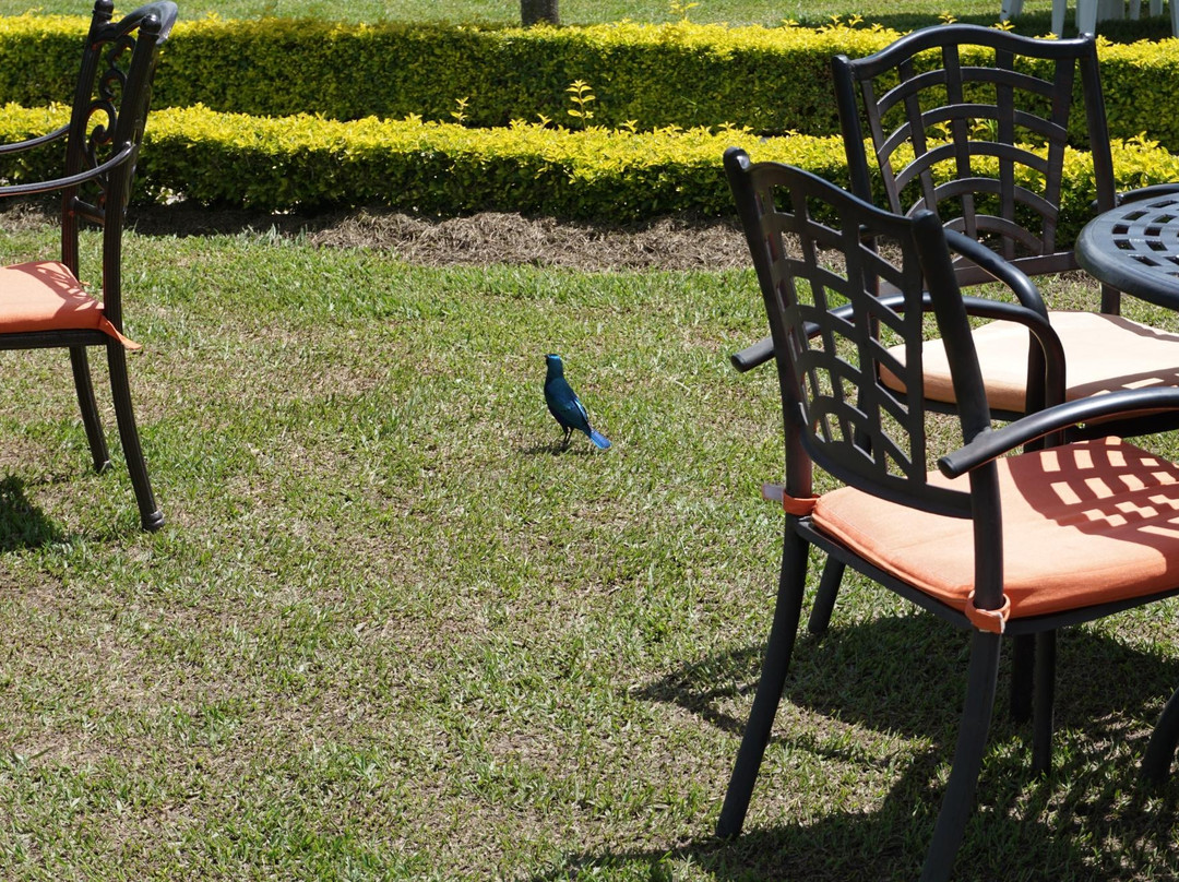 Igongo Cultural Centre-Mbarara必去景点