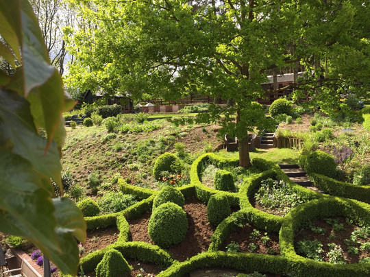 Hotel Der Bornerhof主图