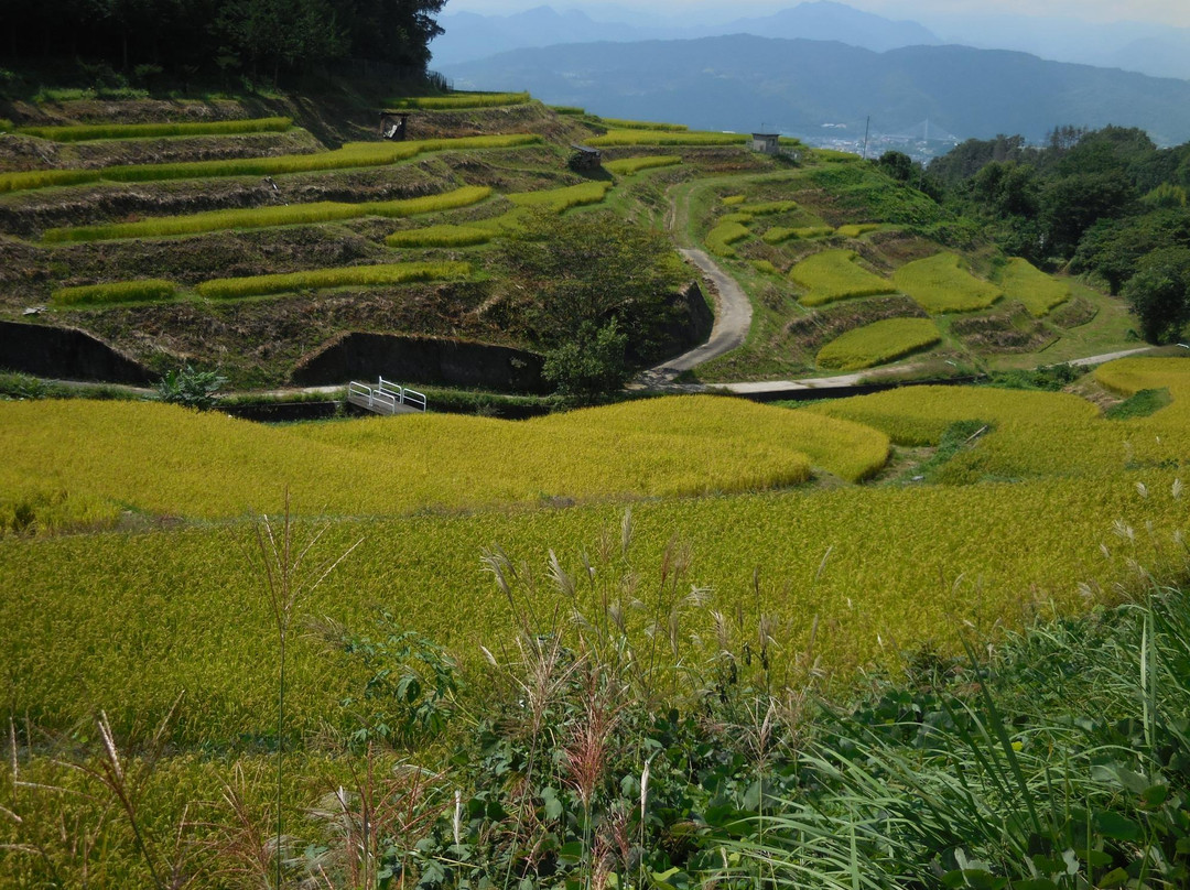 上田市旅游攻略图片