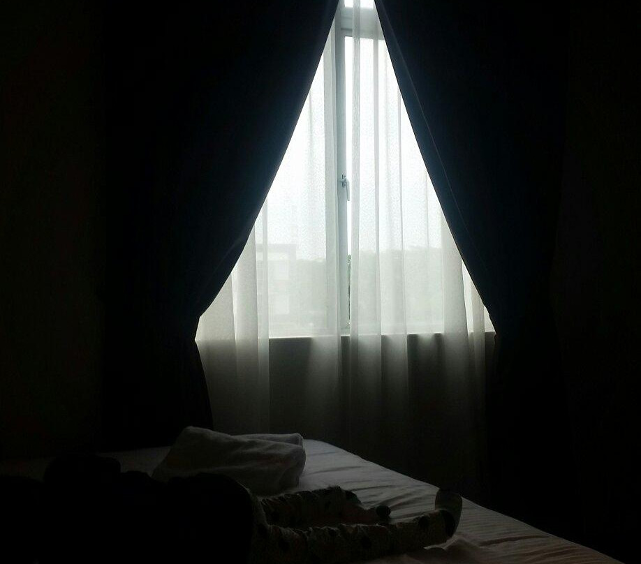 Pekan Nanas酒店住宿-D Elegance Hotel