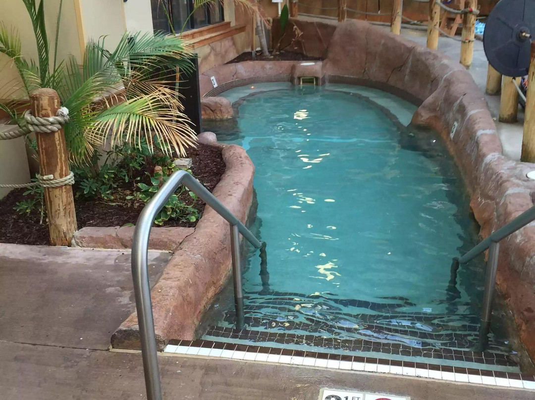 Wild Water Dome Indoor Waterpark at River Lodge-塞维尔维尔必去景点