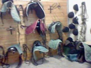 Centre Equestre de Ribeauville-里博维尔必去景点