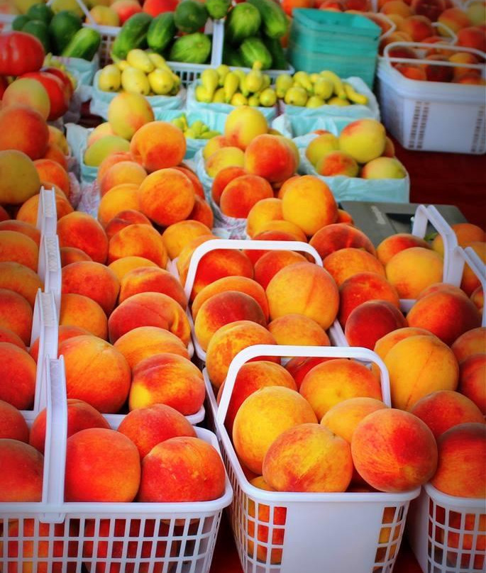 Madison City Farmers Market-Madison必去景点