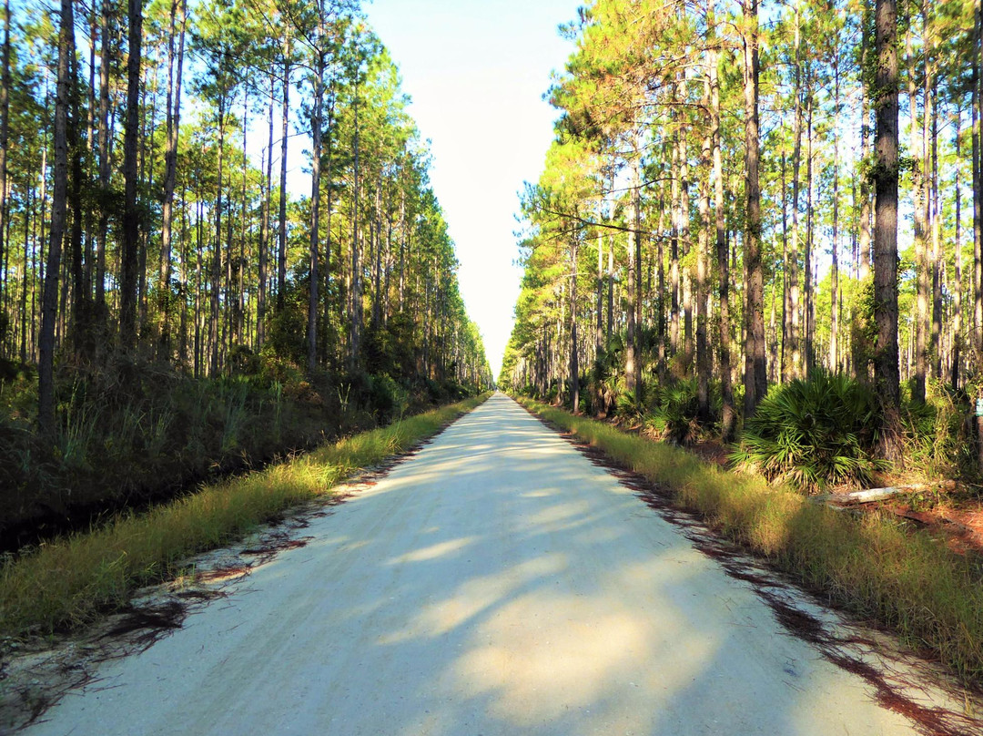Lake George-Astor必去景点