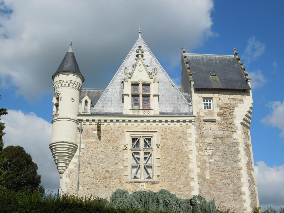 Musée-château de Villevêque景点图片