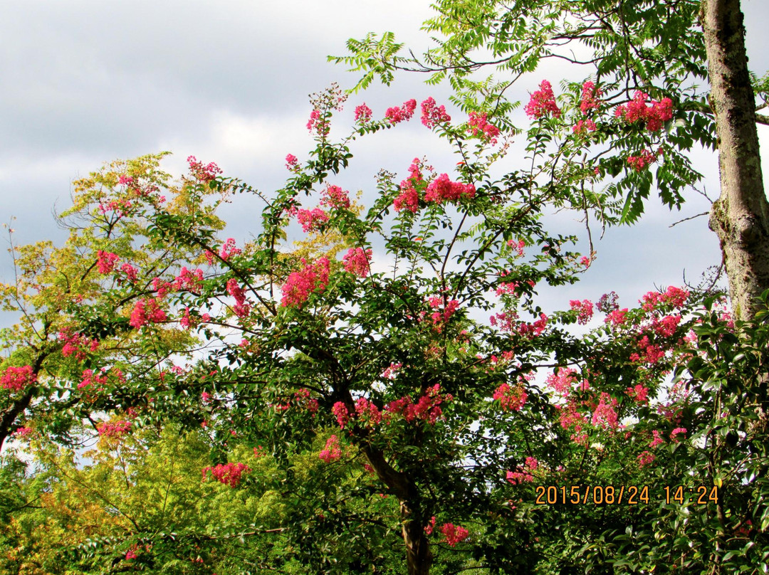 Echizen no Sato Ajimanoen-越前市必去景点