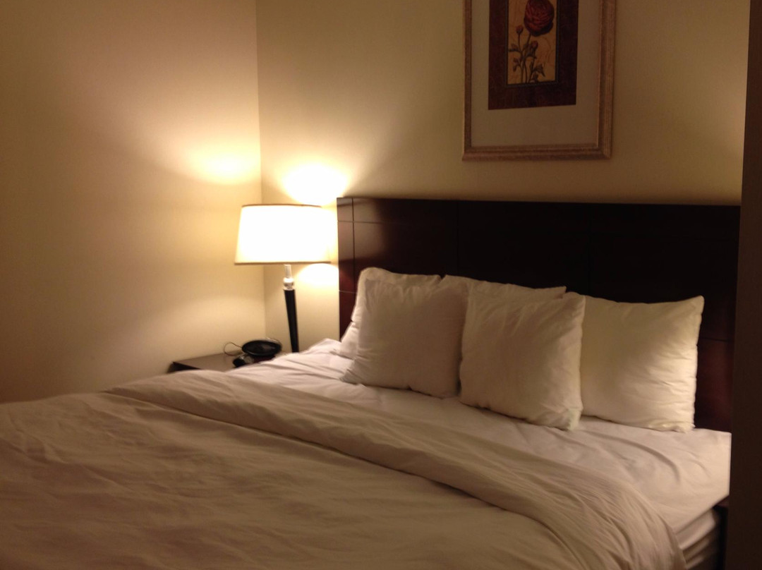 Comfort Suites主图