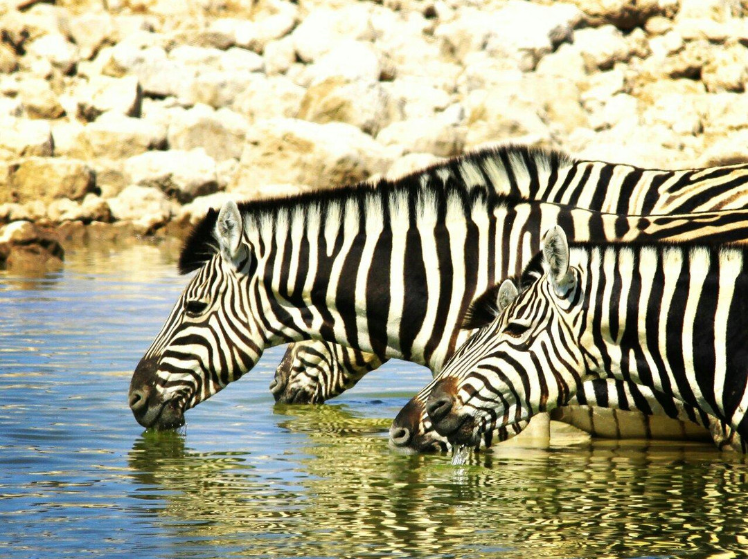 Namibia Reservations-奥奇瓦龙戈必去景点
