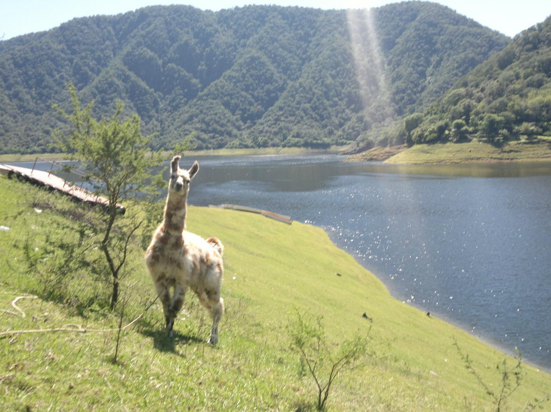 Dique de Escaba-Villa Alberdi必去景点