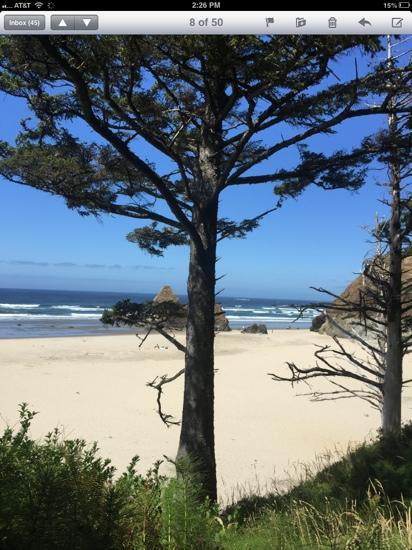 Arcadia Beach State Recreation Area景点图片