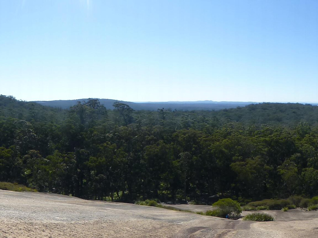 Bald Rock National Park景点图片