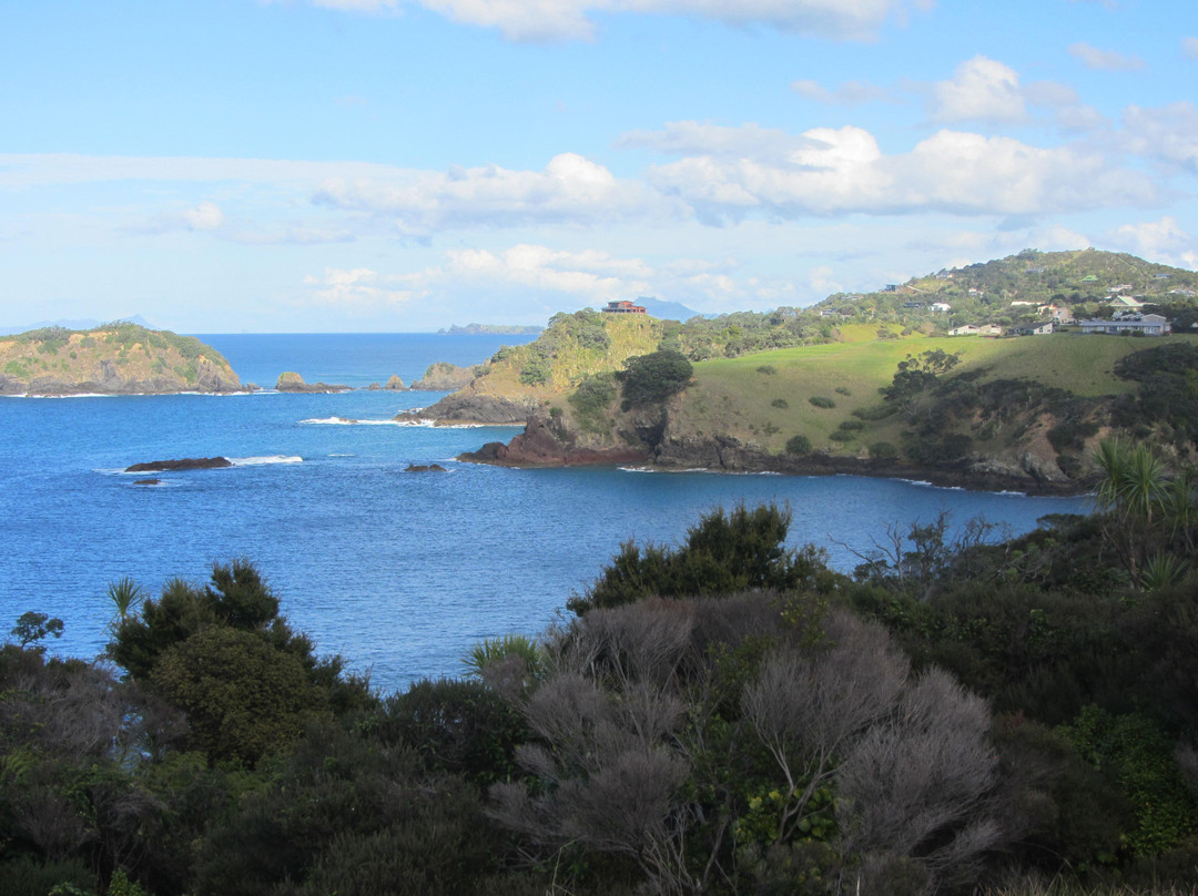 Tutukaka Headland景点图片