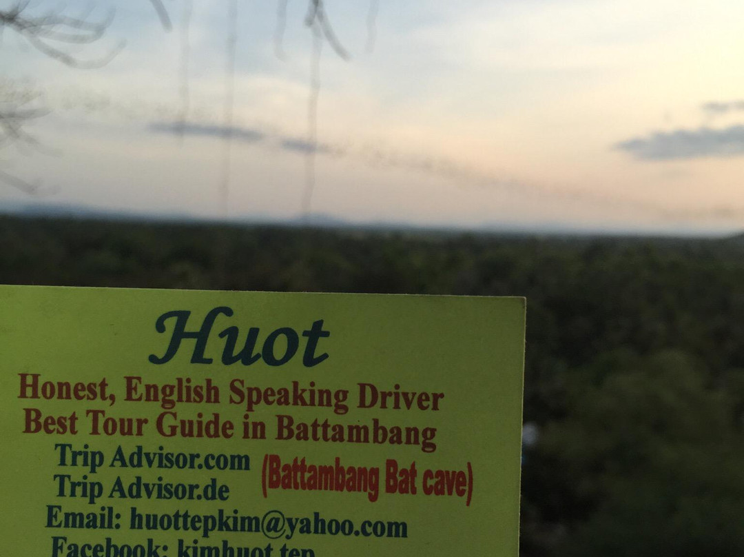 Battambang Bat Caves-马德望必去景点