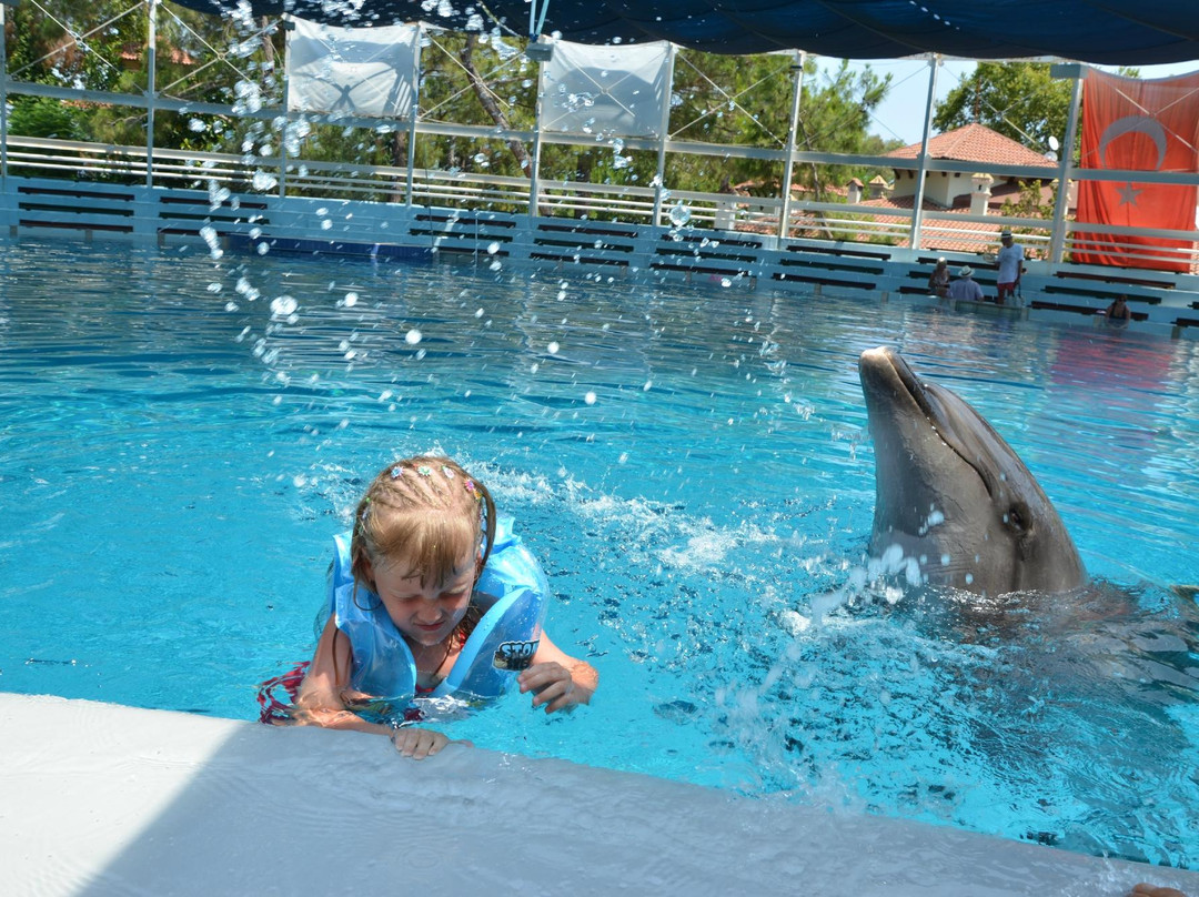 Kemer Dolfin Park