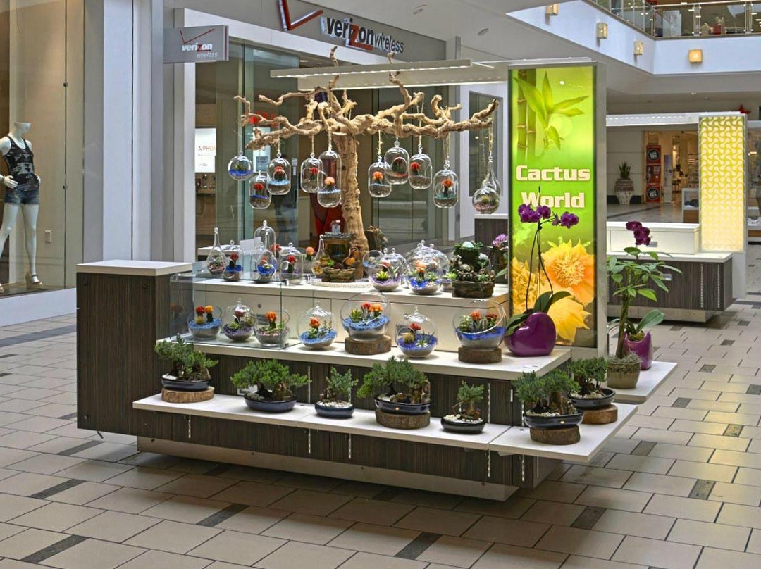 Plaza West Covina景点图片