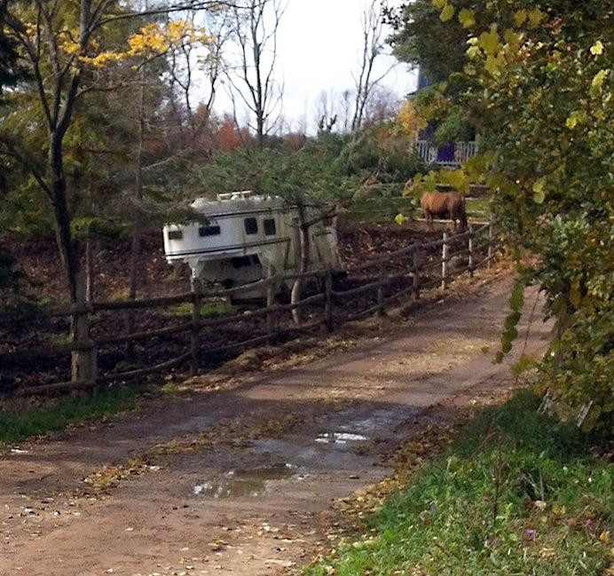 Windsong Horse & Carriage Ranch - Horseback Trail Rides景点图片