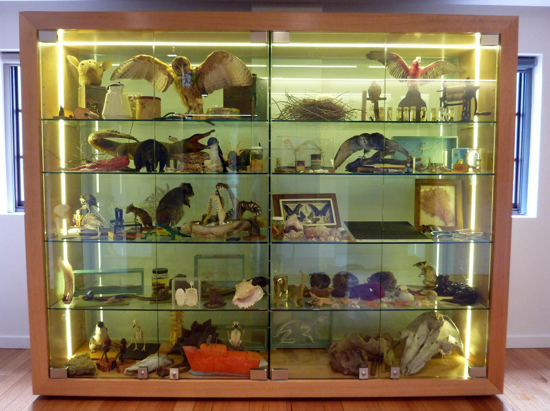 塔斯马尼亚博物馆与美术馆-霍巴特必去景点