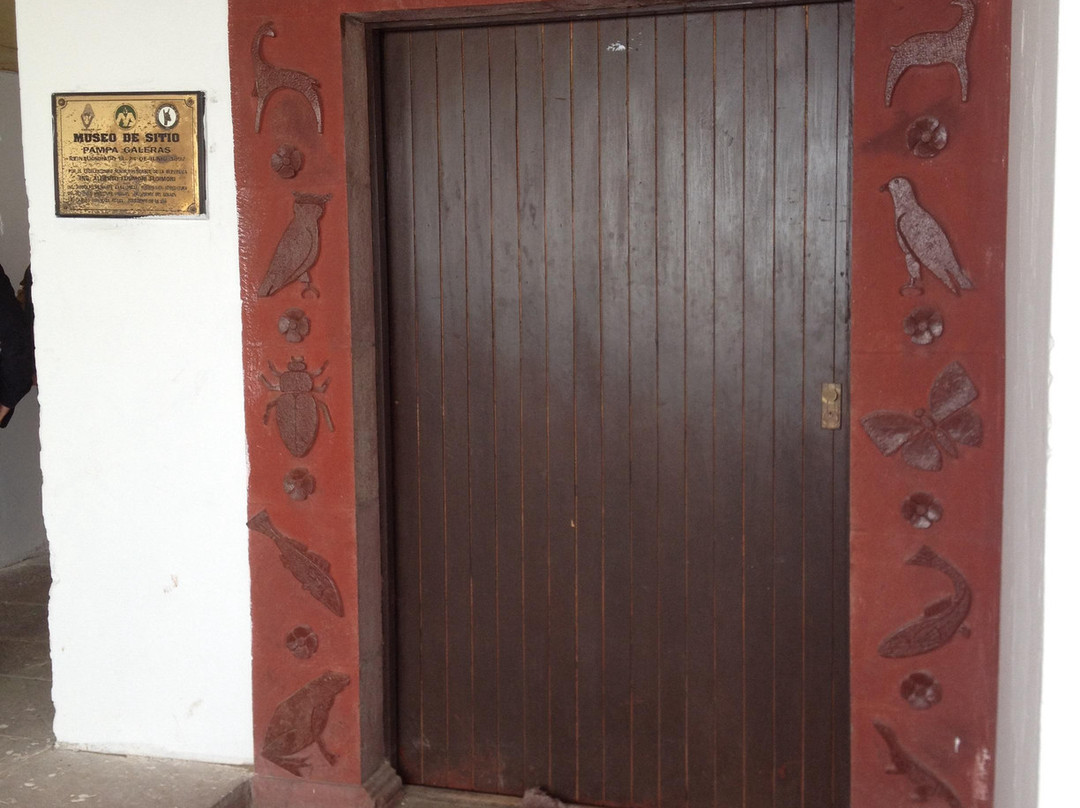 Reserva Nacional Pampa Galeras Barbara D'Achille-Ayacucho必去景点