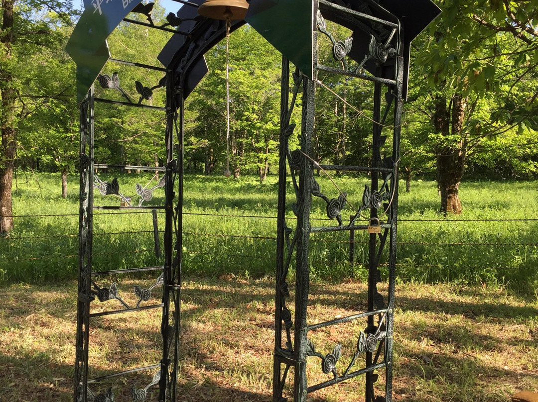 Memu Colony of a Lily of the Valley-平取町必去景点