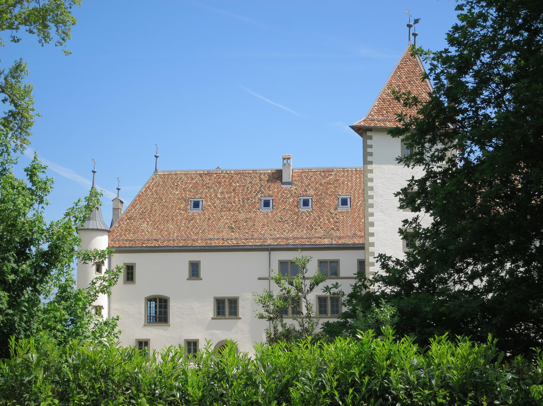 Chateau d' Allaman景点图片