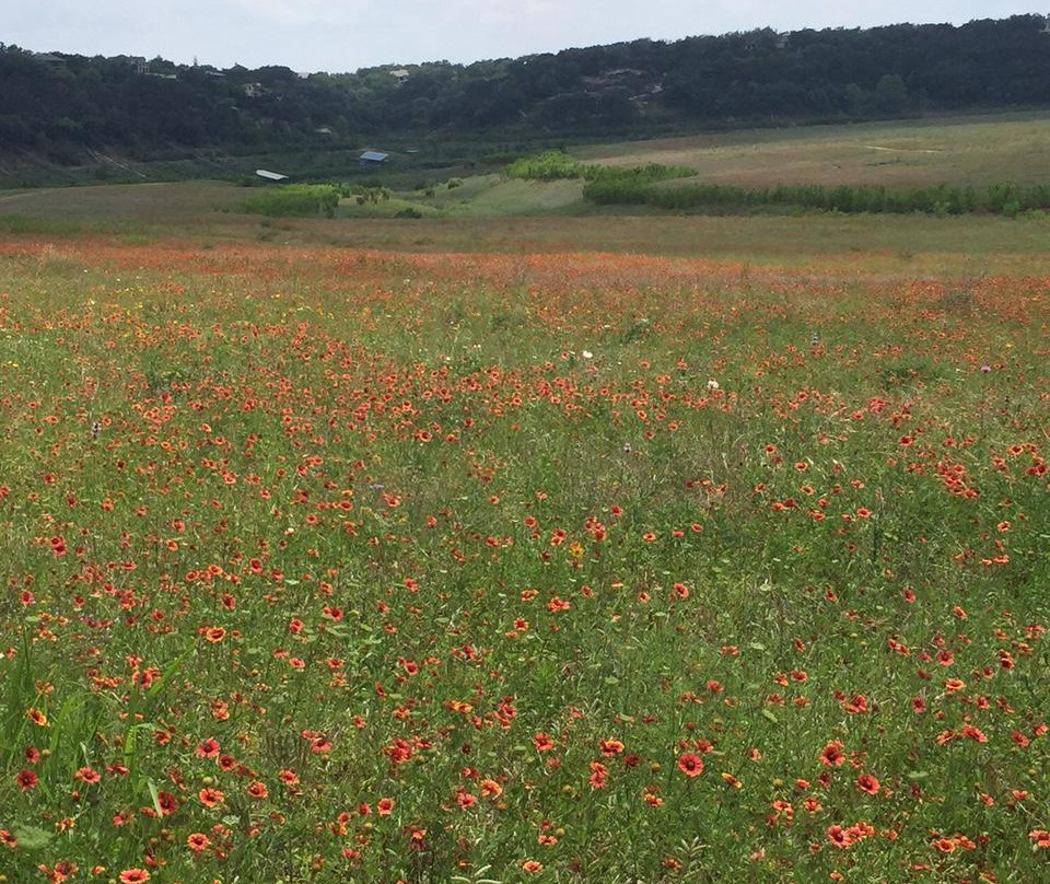 Turkey Bend Recreation Area-Marble Falls必去景点