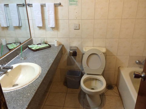 成都大酒店主图