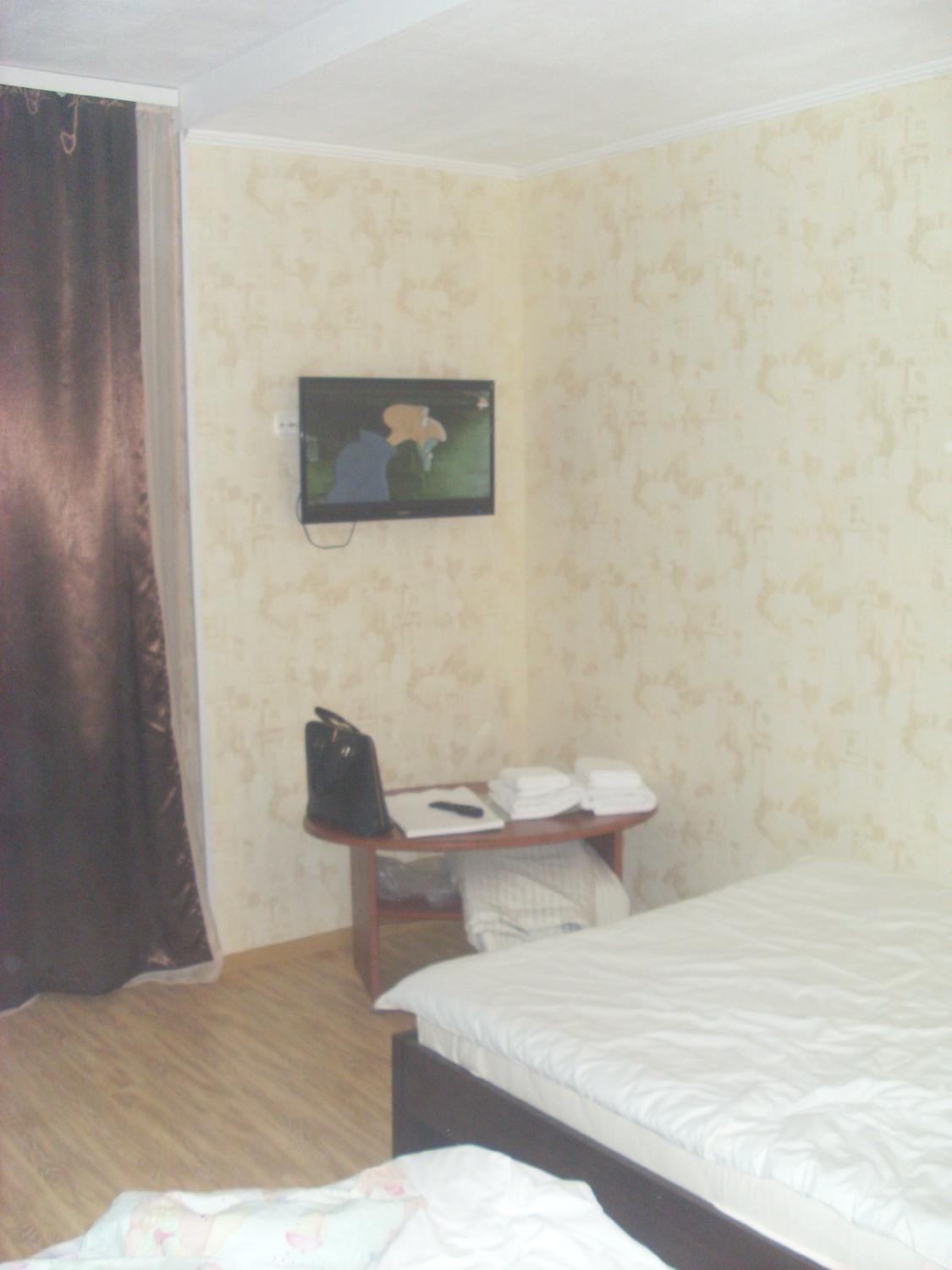 Petrovsky Hotel-客卧