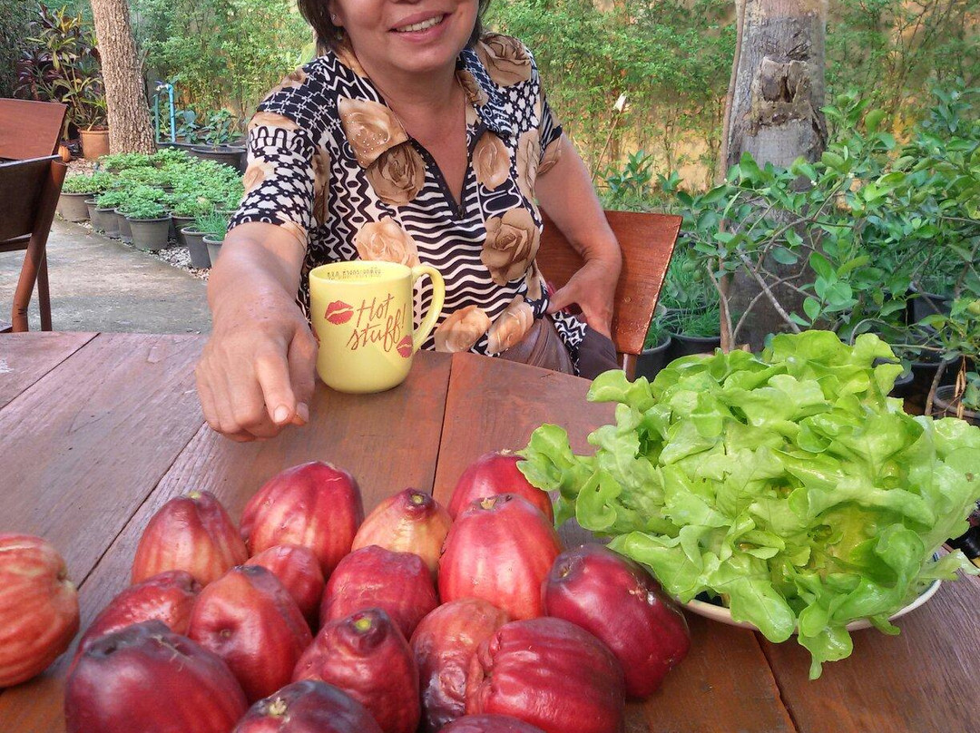 Racha Herb Gardens Resort主图