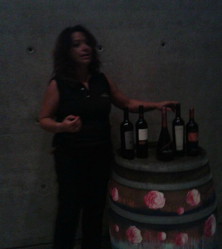 Bodega Navarro Correas景点图片