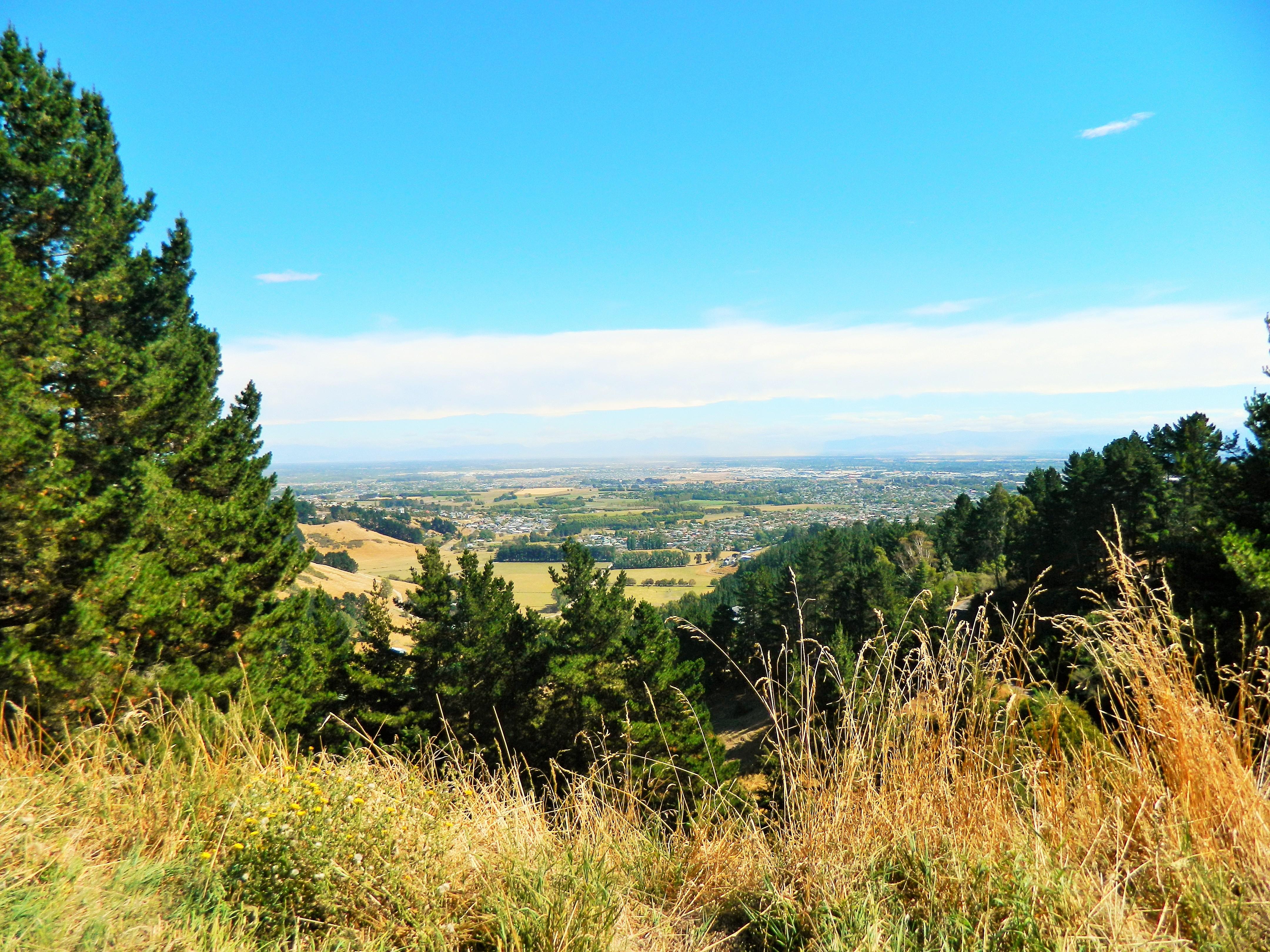 Drop'in B&B-酒店景观