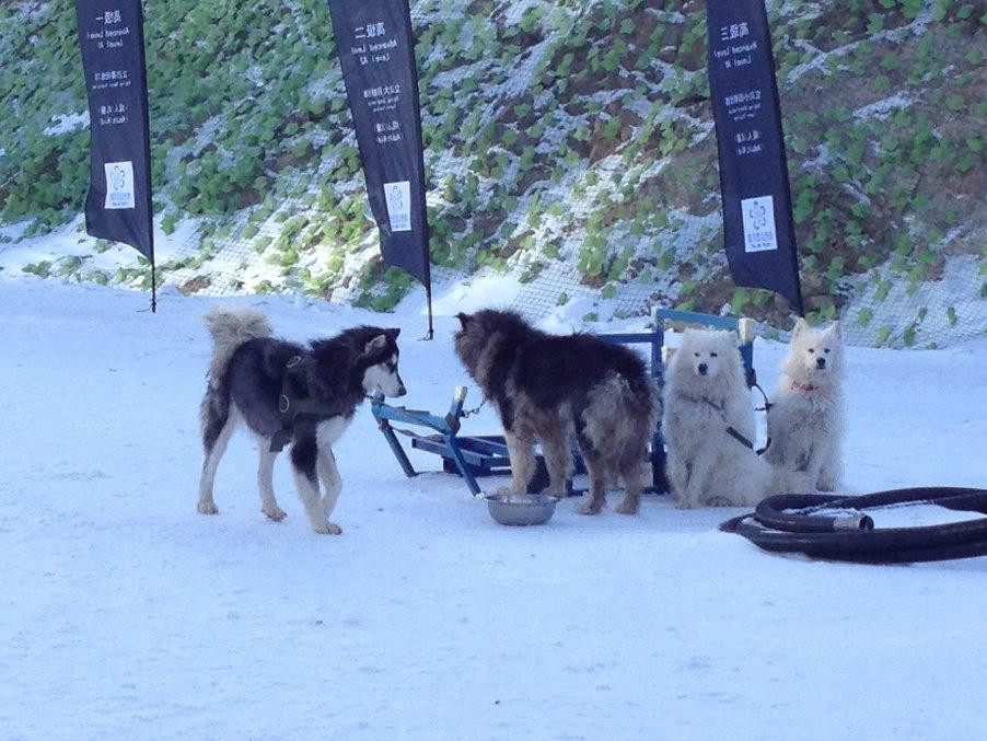 云顶大酒店主图