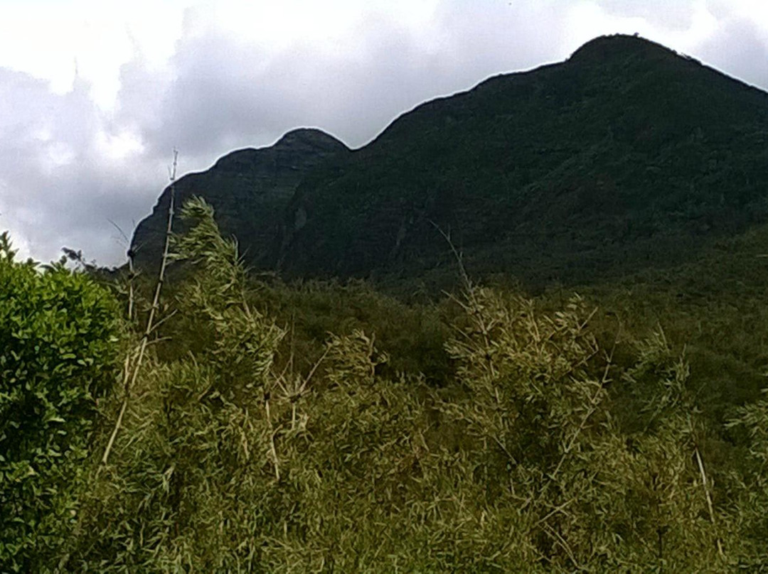 Elephant Hill-内罗毕必去景点