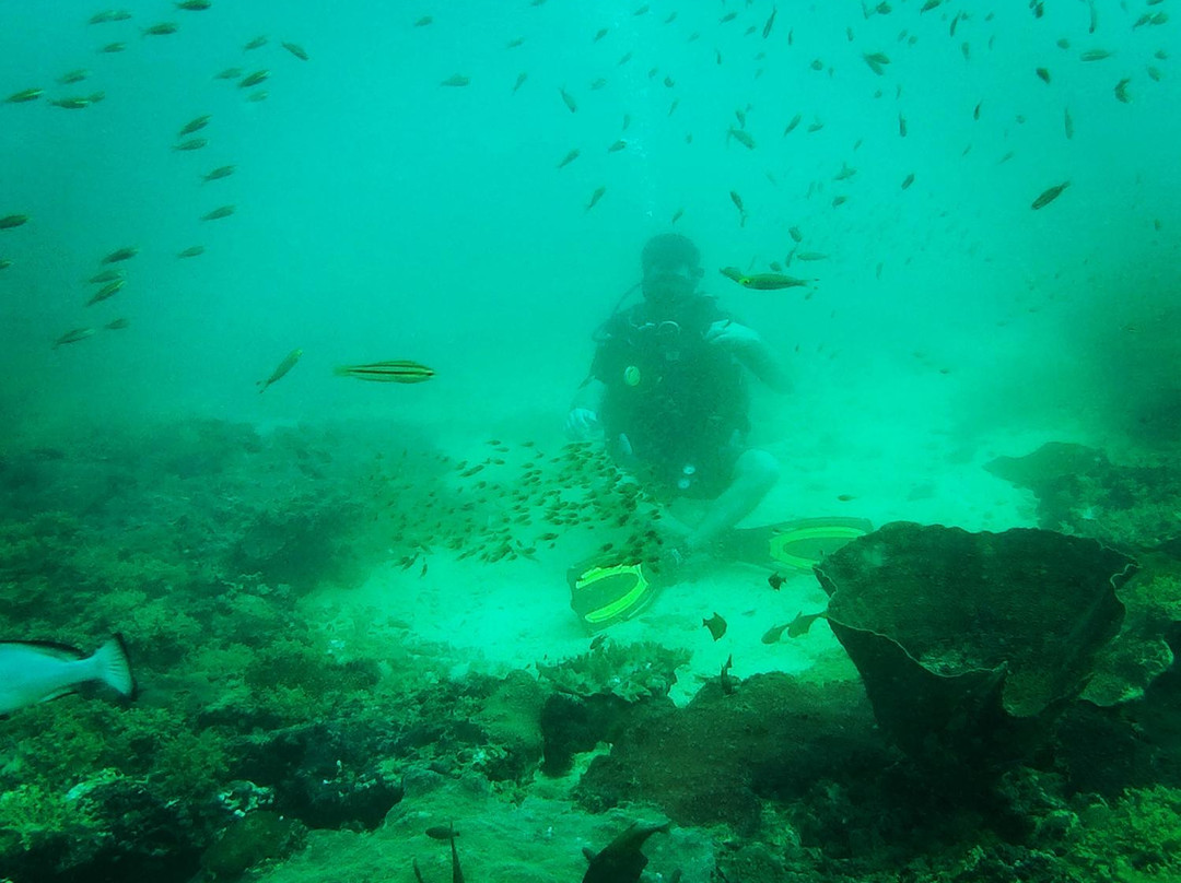 Epic Encounters Dive & Adventure Centre景点图片