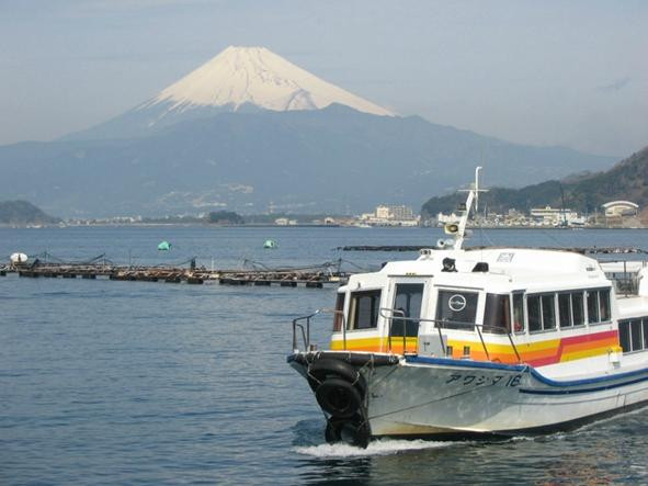 Awashima Marine Park景点图片
