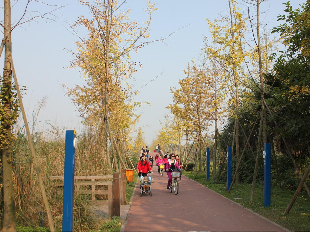 白鹭湾生态湿地公园-成都必去景点