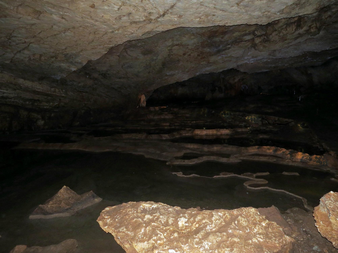 Vjetrenica Cave景点图片