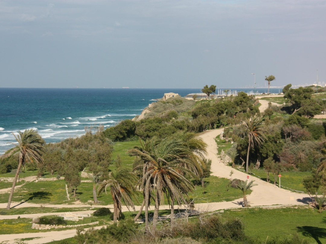 Ashkelon national park景点图片