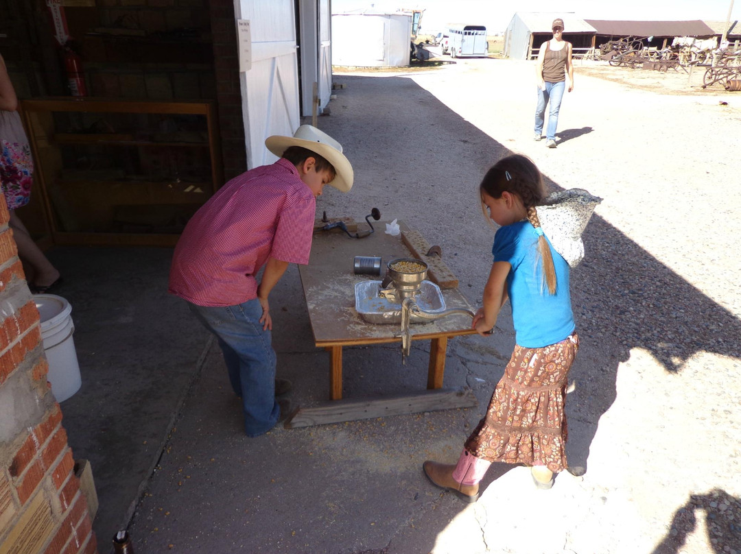 Bee Family Farm-科林斯堡必去景点