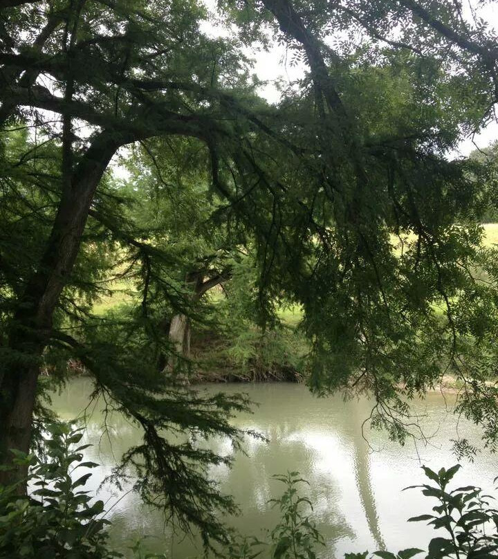 Kreutzberg Canyon Natural Area-Boerne必去景点
