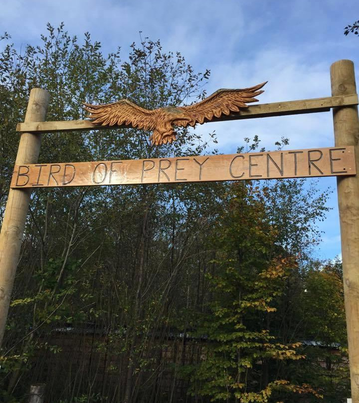 Loch Lomond Bird Of Prey Centre-Balloch必去景点