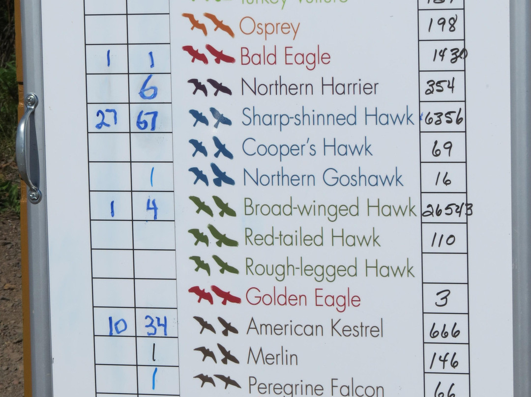 Hawk Ridge Bird Observatory-德卢斯必去景点